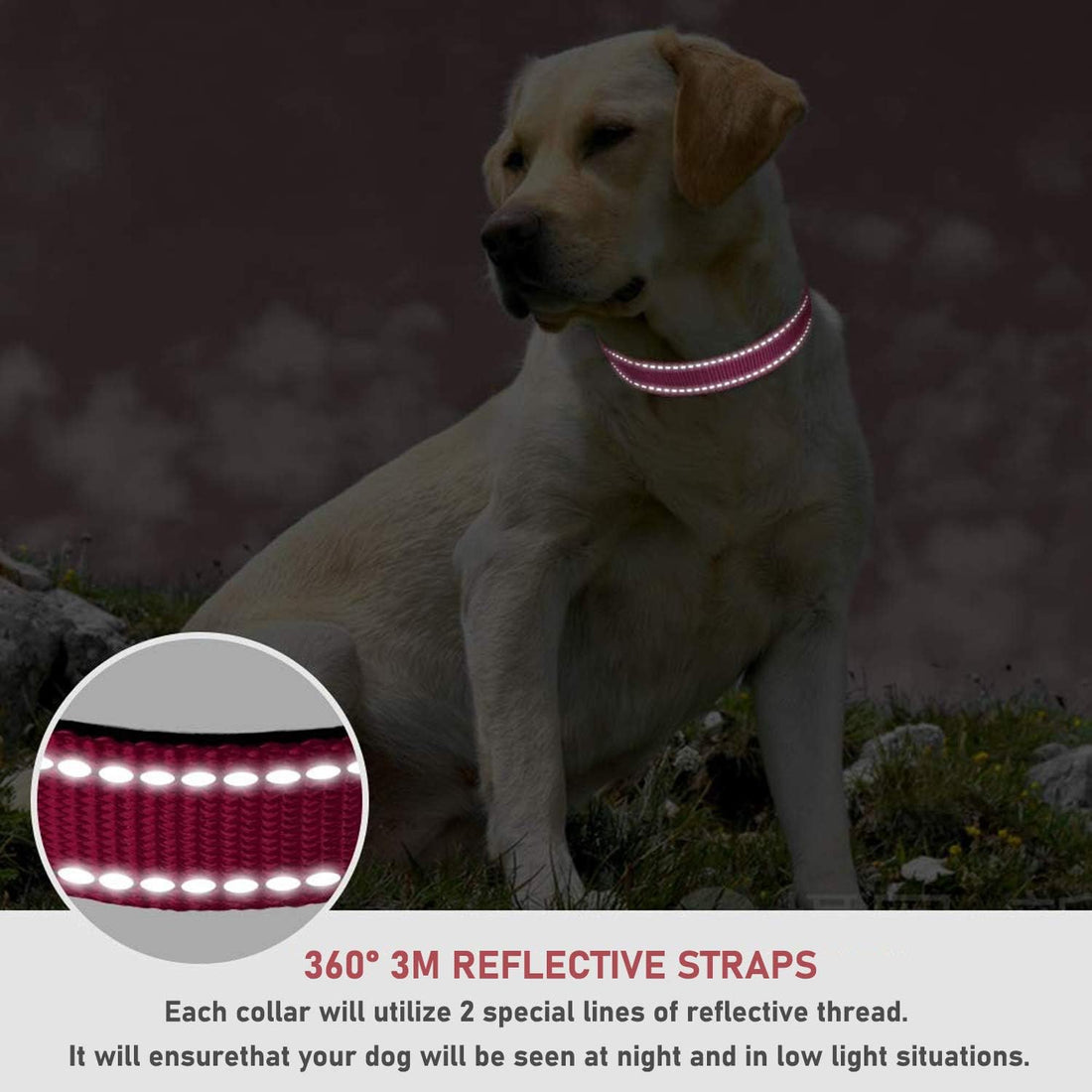 Reflective Dog Collar with Buckle Adjustable Safety Nylon Collars