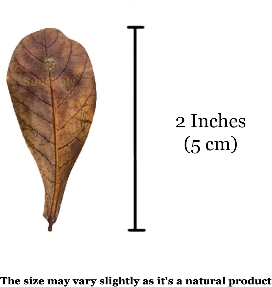 SunGrow 50 Pack Leaf Litter for Spider, Cricket & Isopod