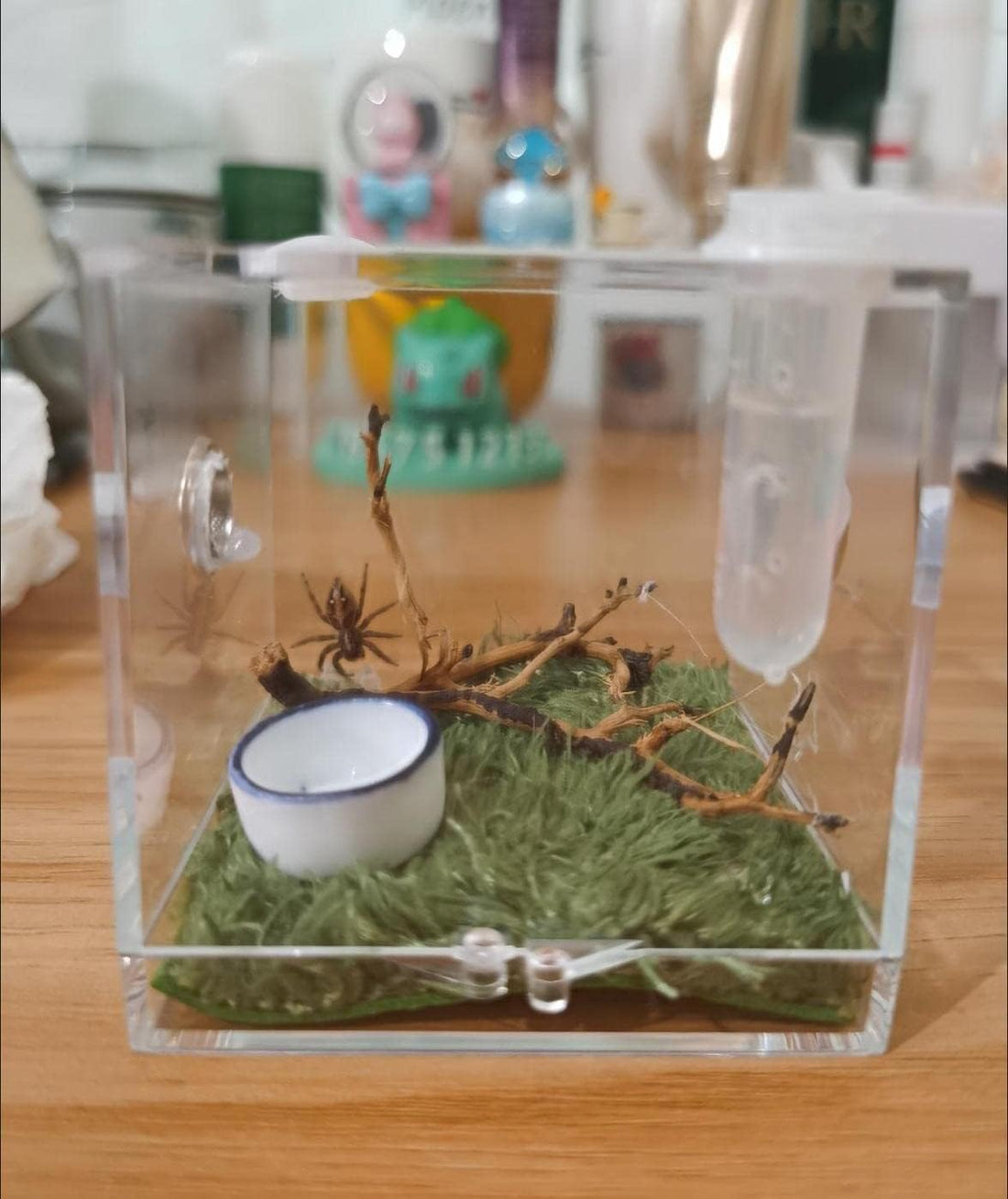 AWXZOM Spider Terrarium, Acrylic Reptile Breeding Box Jumping Spider