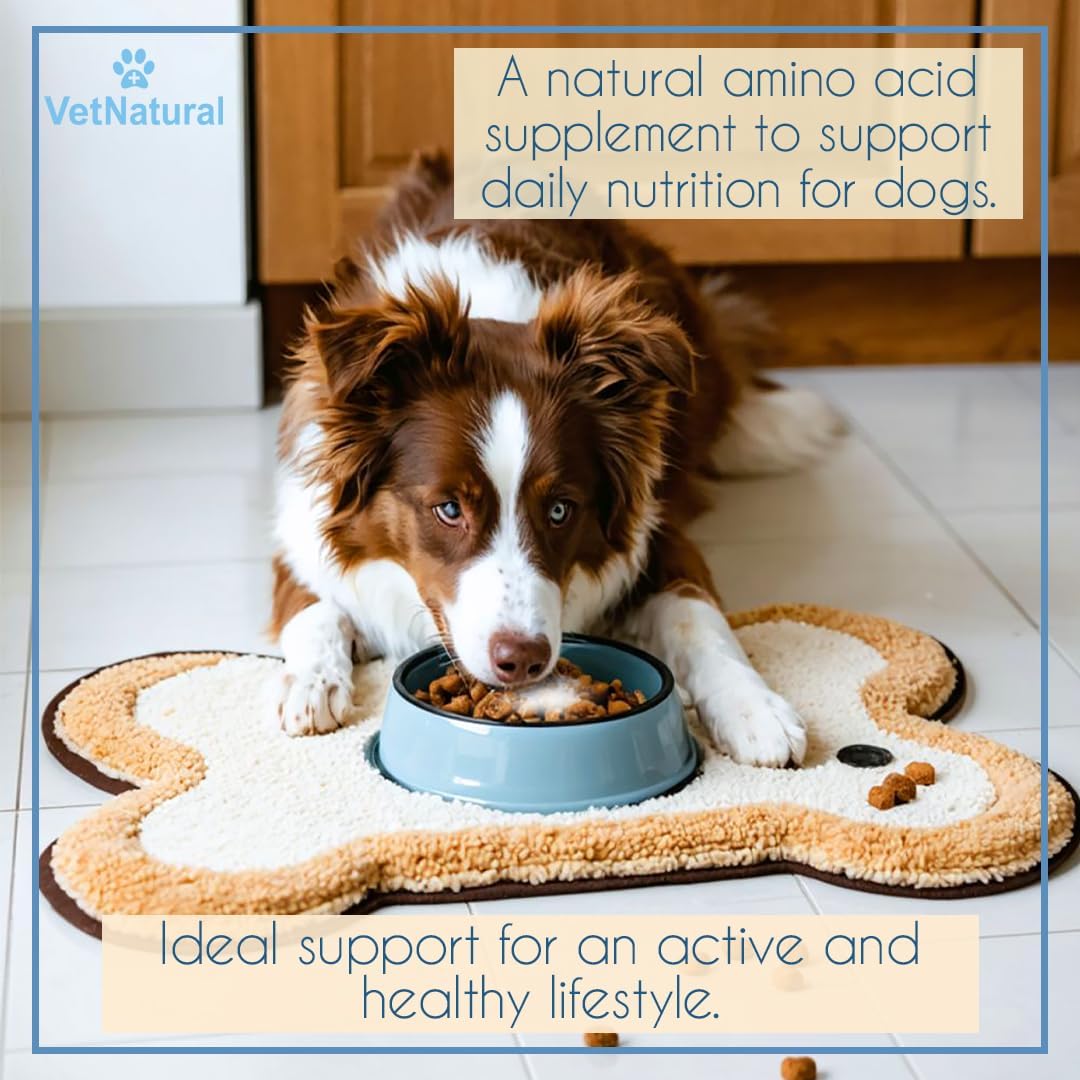 VetNatural Taurine for Dogs, 99.99% Pure Taurine Powder