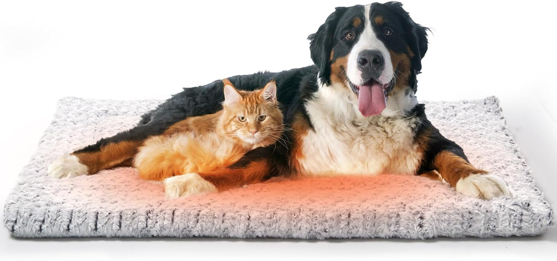 Papettly Self Warming Cat Bed 37 x 25.6 in