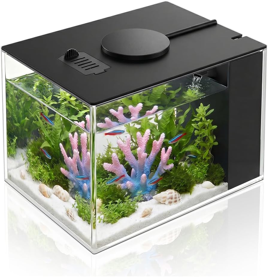 DaToo 1 Gallon Fish Tank Betta Fish Tank Small Nano Aquarium Starter