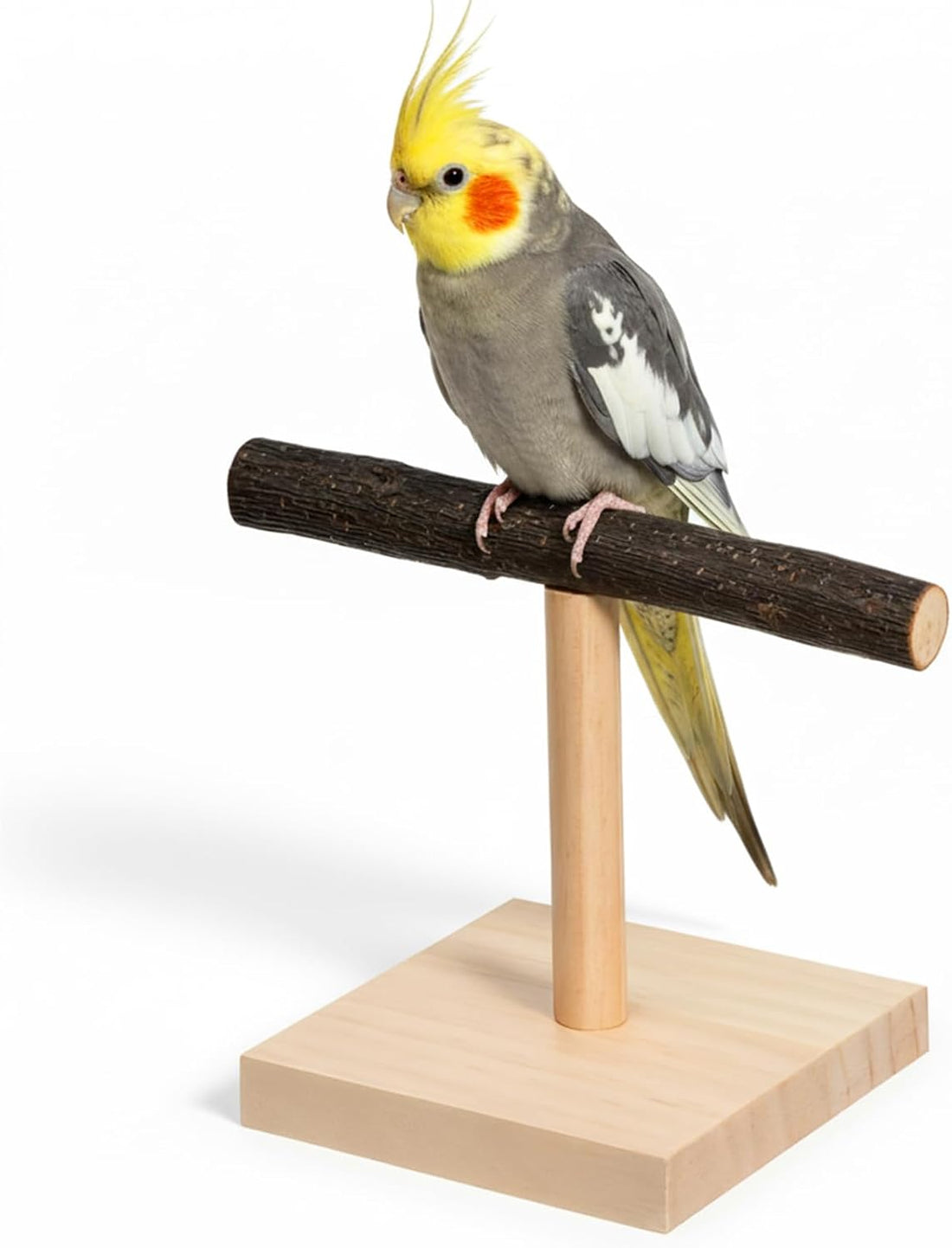 Bird Perch Stand Bird Training Stand Portable Tabletop Parrot Stands