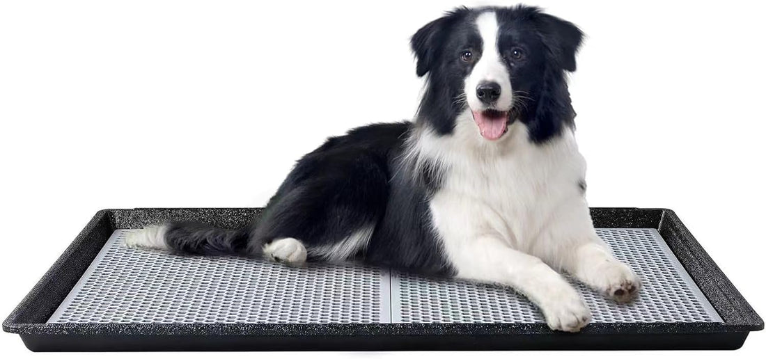 HQ4US Dog Pee Pad Holder Tray with Grate