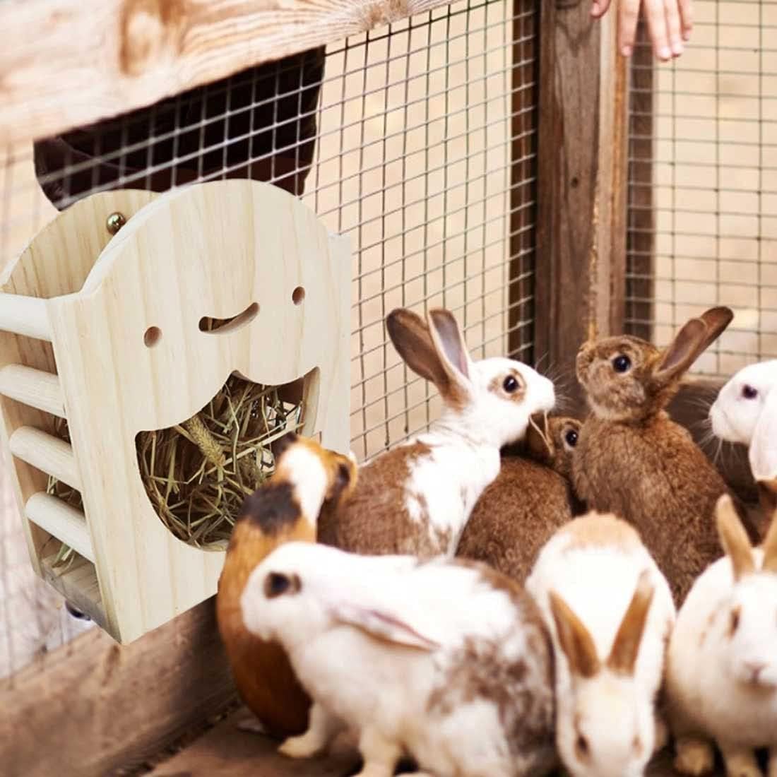 kathson Rabbit Hay Feeder Rack Wood Grass Holder Less Wasted Hay Box
