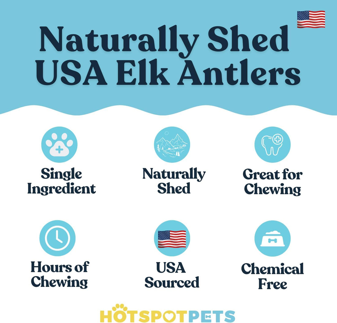 Small Premium Split Elk Antlers for Dogs