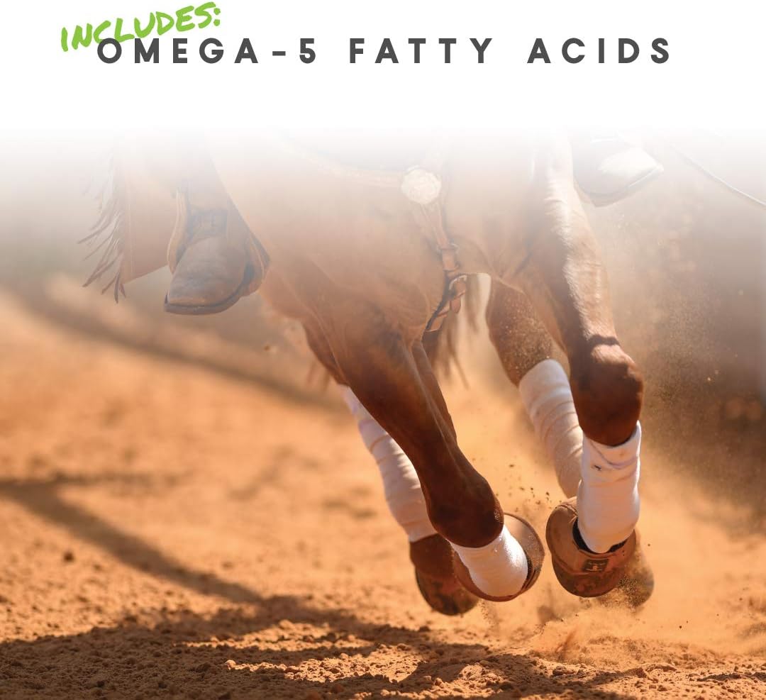 Manna Pro Cetyl-M Horse Joint Supplement with Omega-5, 5.1 lb