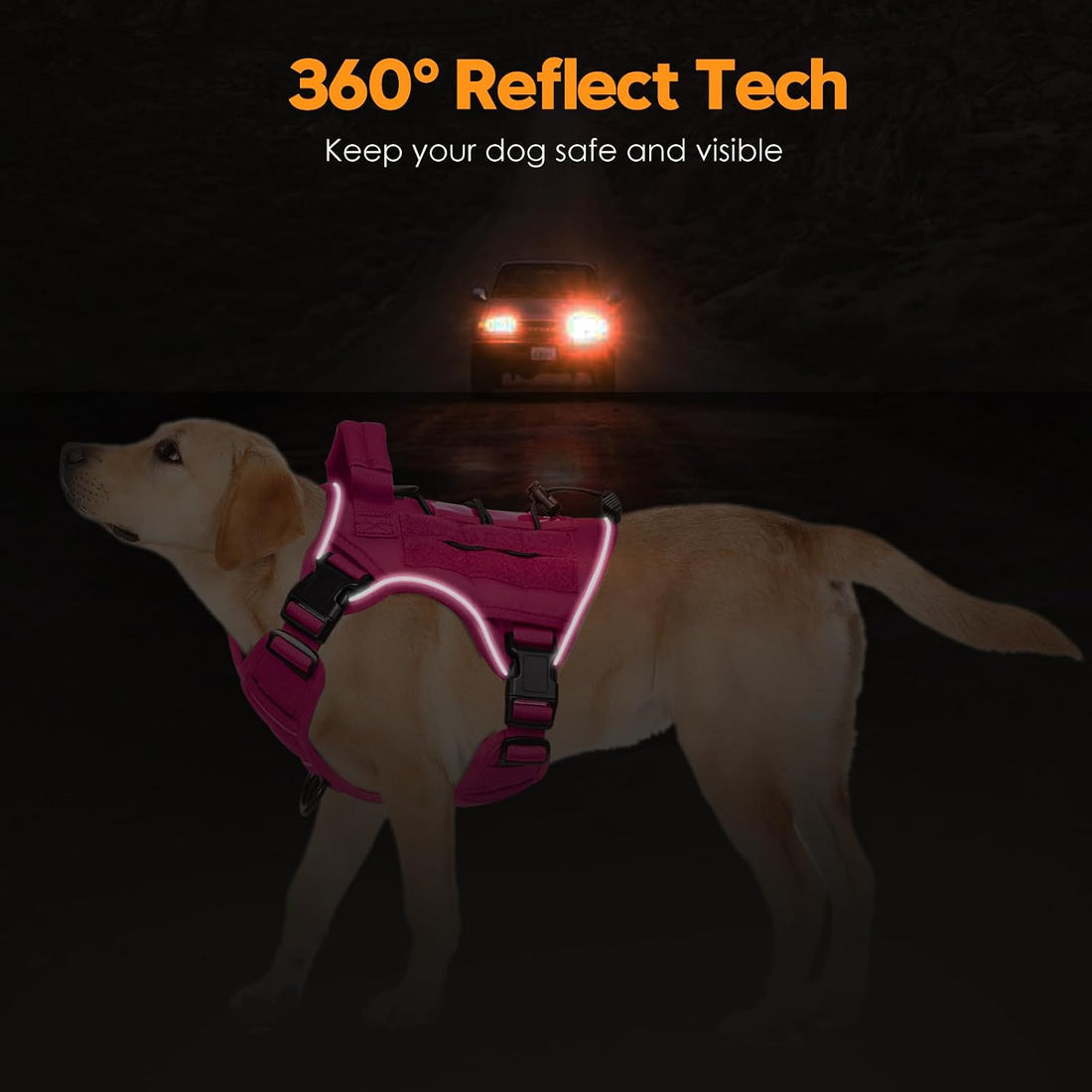 Heavy-Duty Tactical Dog Harness for Large Dogs