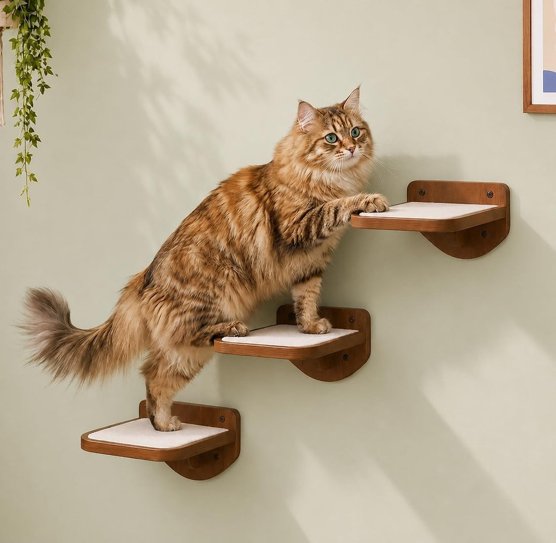 Cat Wall Shelves, Black Floating Cat Steps Set of 3