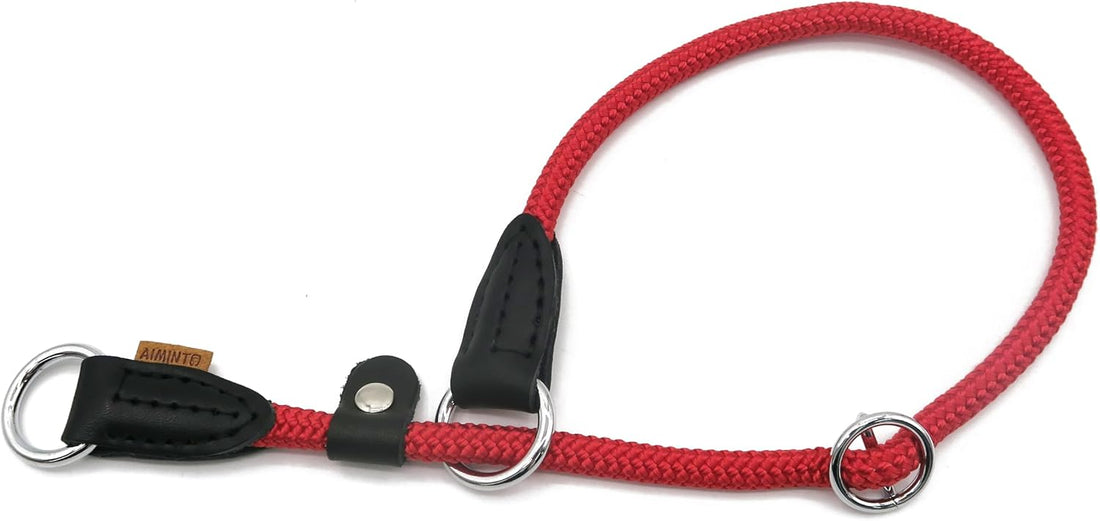Braided Round Martingale Dog Collar