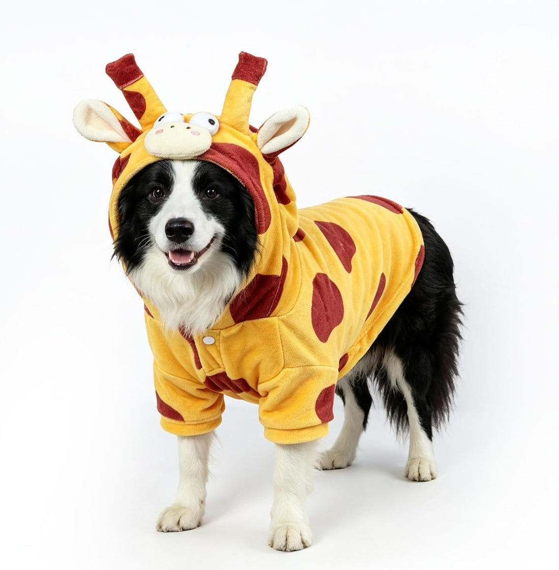 DELIFUR Dog Cow Costume for Halloween, Black and White