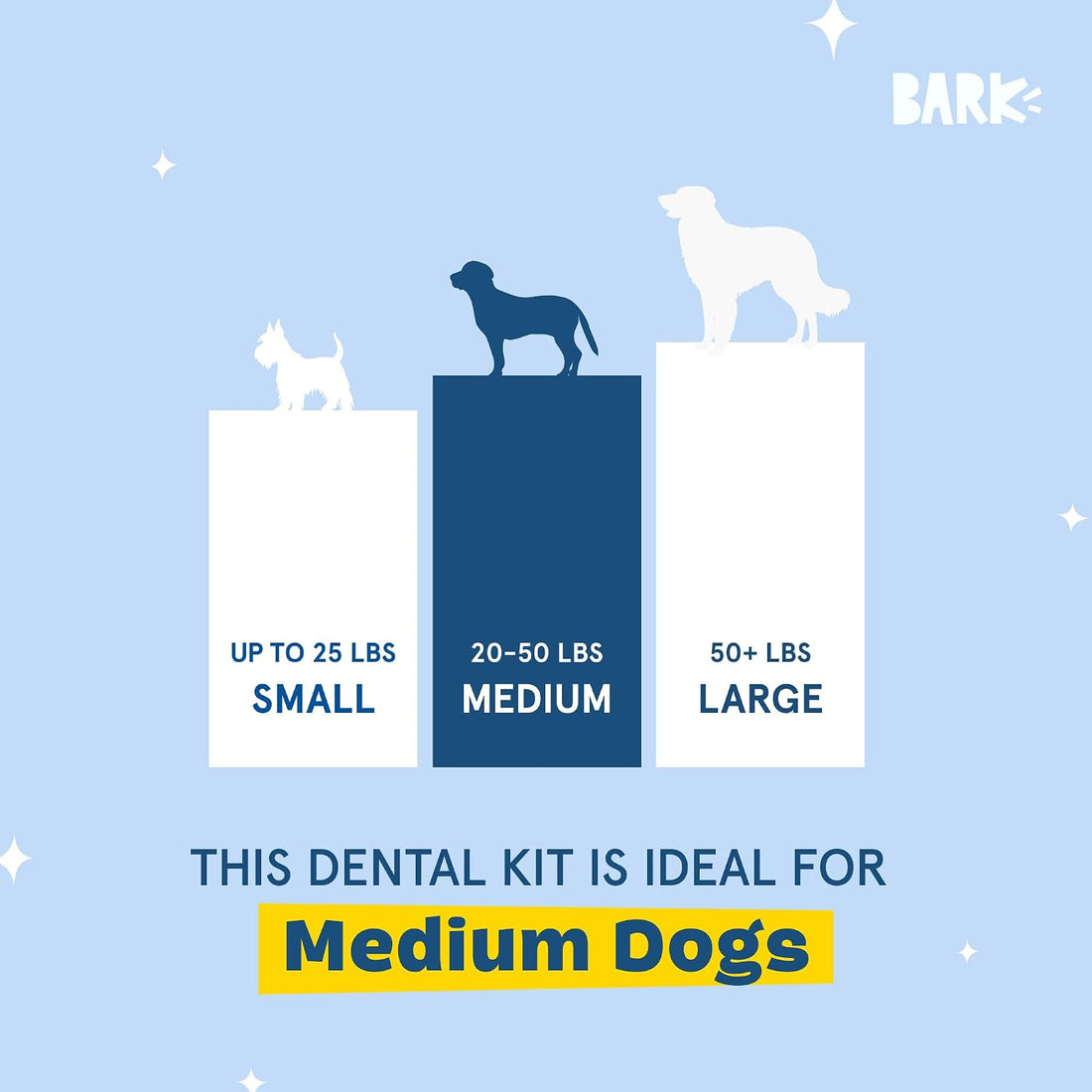 Barkbox Bright Original Dog Dental Kit