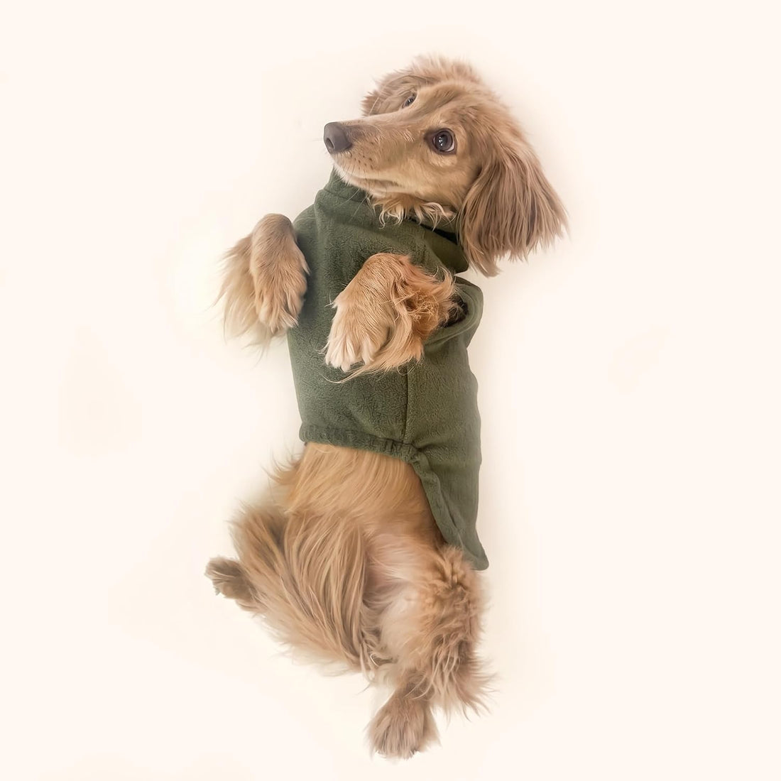 Dachshund Fleece Coat, Long Dog Sweater Jacket - Green, M