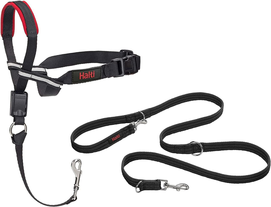 Halti Optifit Headcollar & Training Leash Bundle