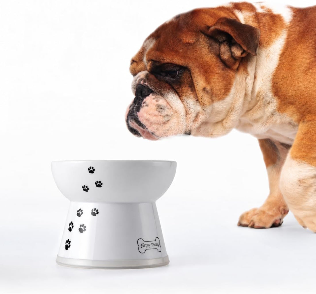 Necoichi Raised Dog Food Bowl, 15° Tilted (Dog, Extra Wide Tilted)