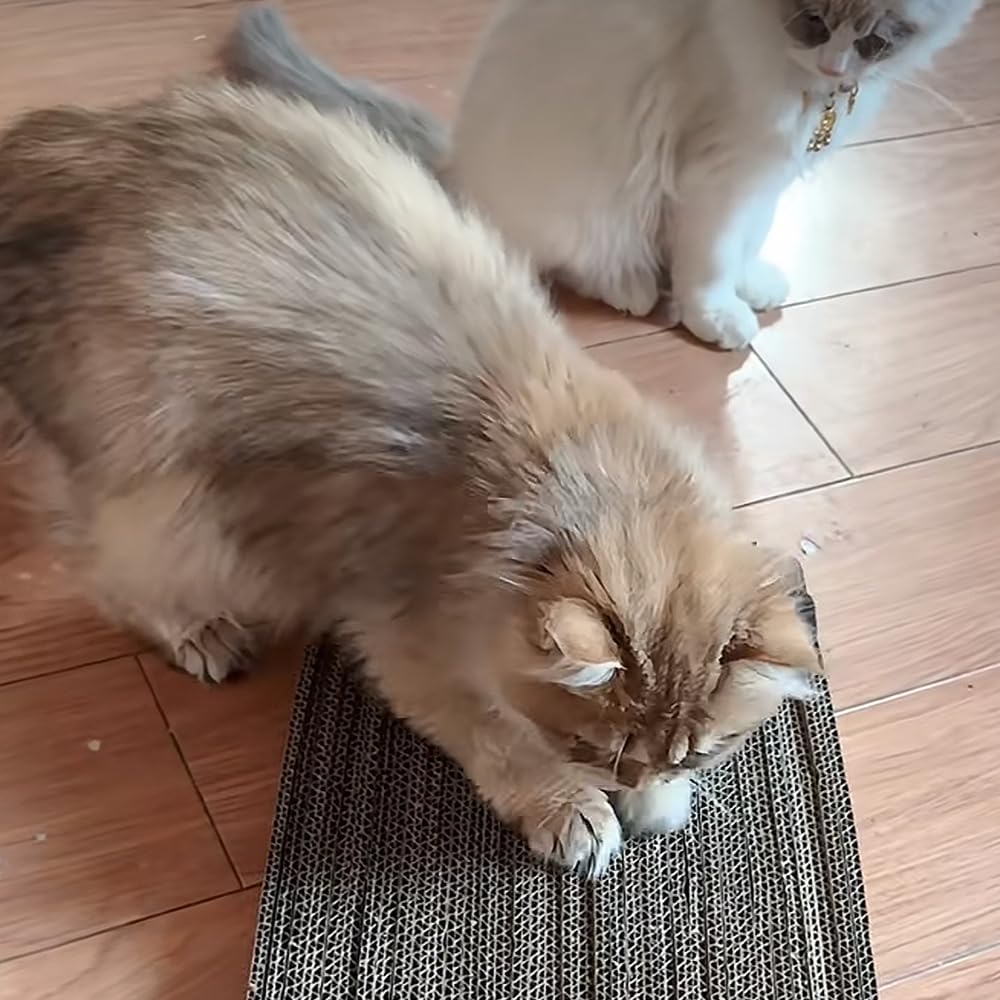 aderroo Cardboard Cutter for Cat Scratchers,DIY Cardboard Cutting Tool