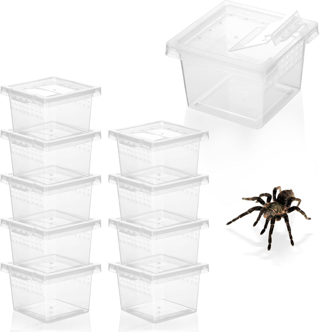 10Pcs Plastic Critter Keeper Transparent Cricket Keeper for Reptiles