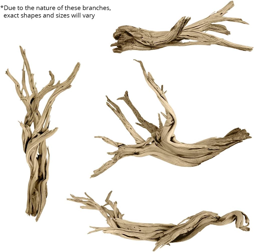 Koyal Wholesale 12” Driftwood Terrarium Decor