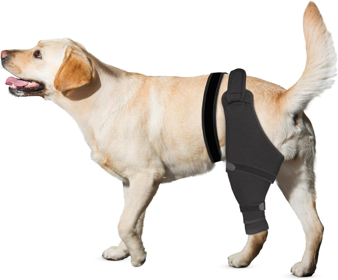 Dog Rear Leg Sleeve to Stop Licking