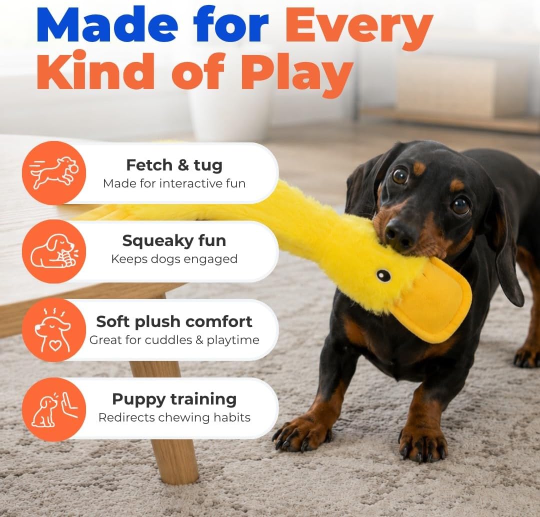 Best Pet Supplies Interactive Squeaky Dog Chew Toy