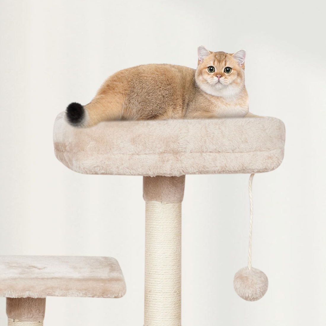 Cut Cat Tree Cat Tower Condo with Hammock Kittens Scratching Post