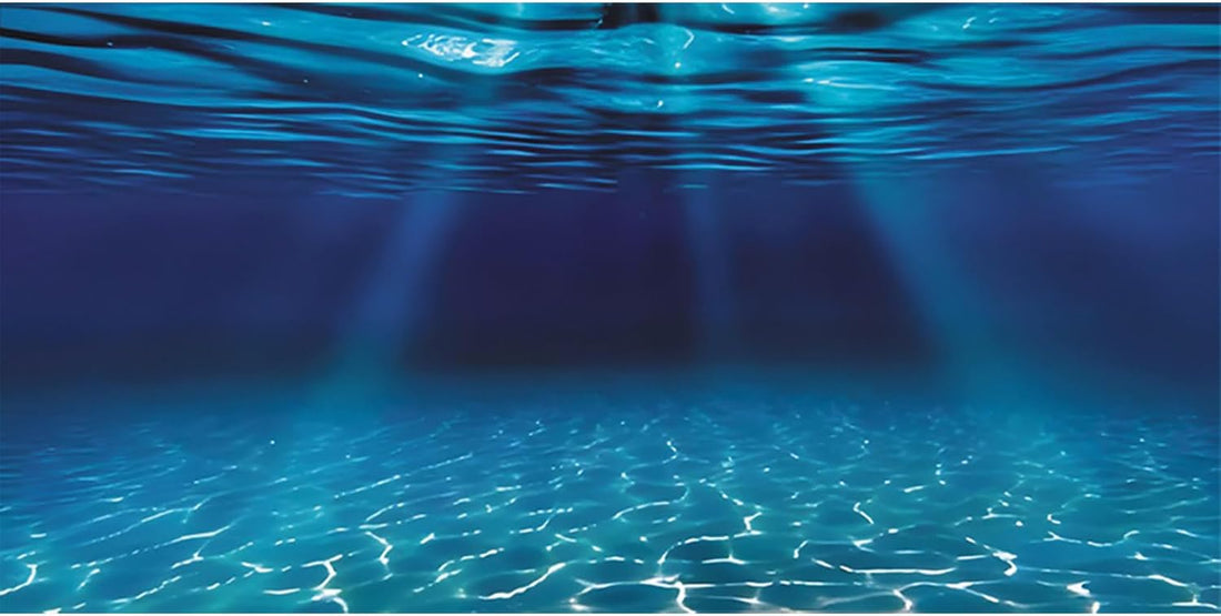 AWERT 48x24 in Undersea Aquarium Backdrop Underwater Fish Tank