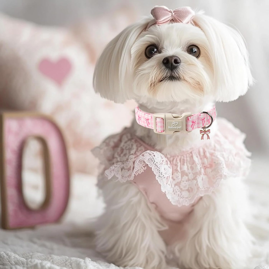 Babole Pet Girl Dog Collar for Puppy Small Dogs