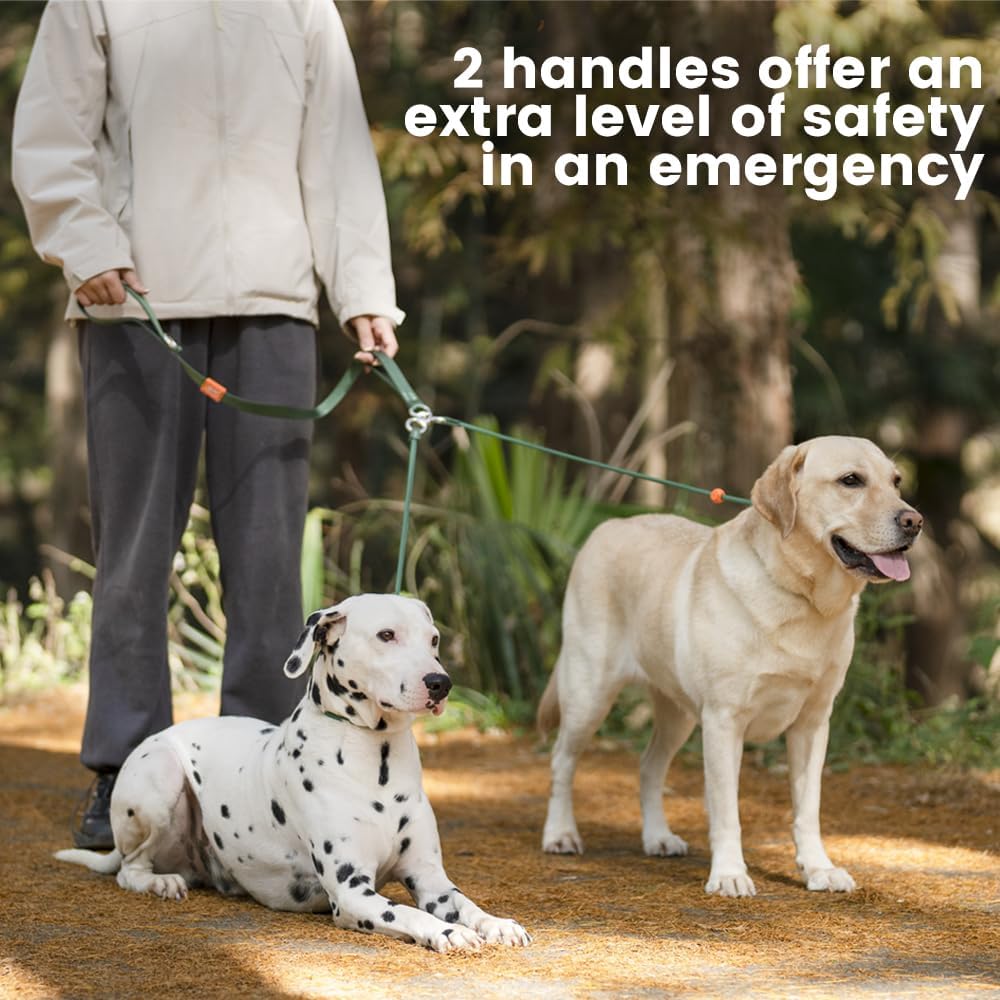 Howgo Double Slip Leash Slip Lead with Two Handles| Dual Dog Slip