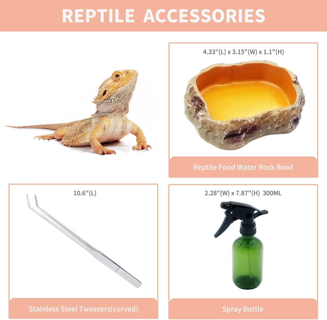 Mini Reptile Terrarium Set,11.8" x 7"x 6" Low Reptile Tank with Full