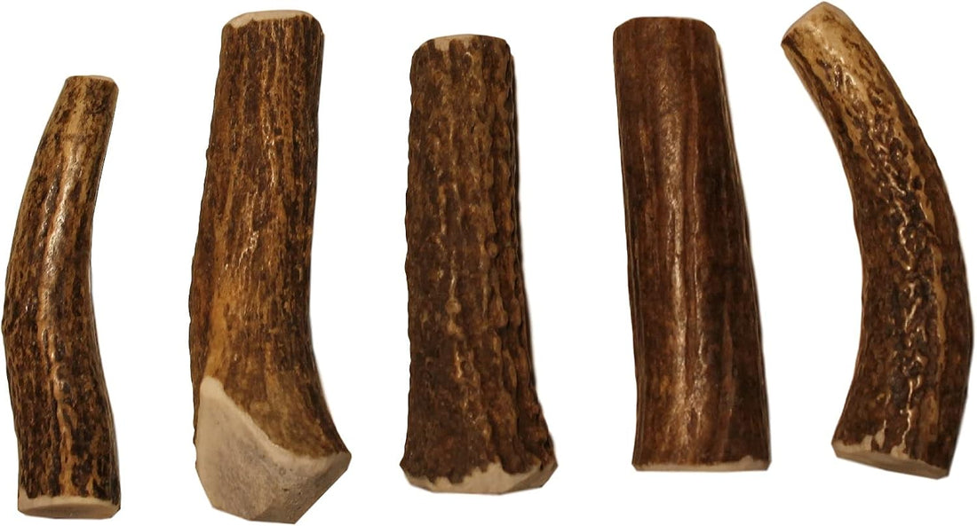 Elkhorn Premium Chews – X Large Whole Single Elk Antler Chew