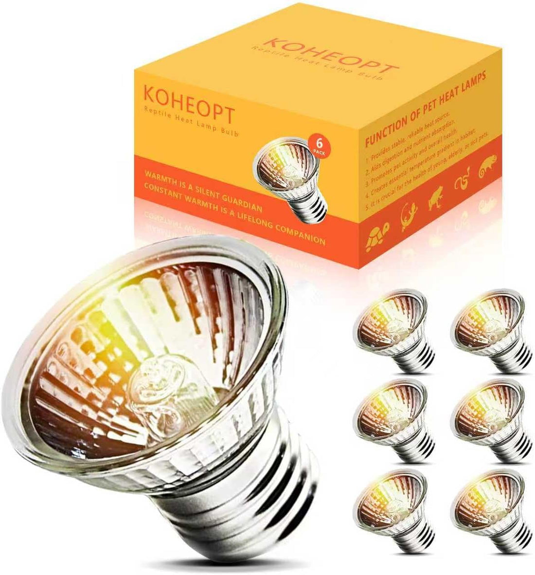 2-Pack 50W UVA Bulbs, Light Turtle Heat Lamp for Reptiles
