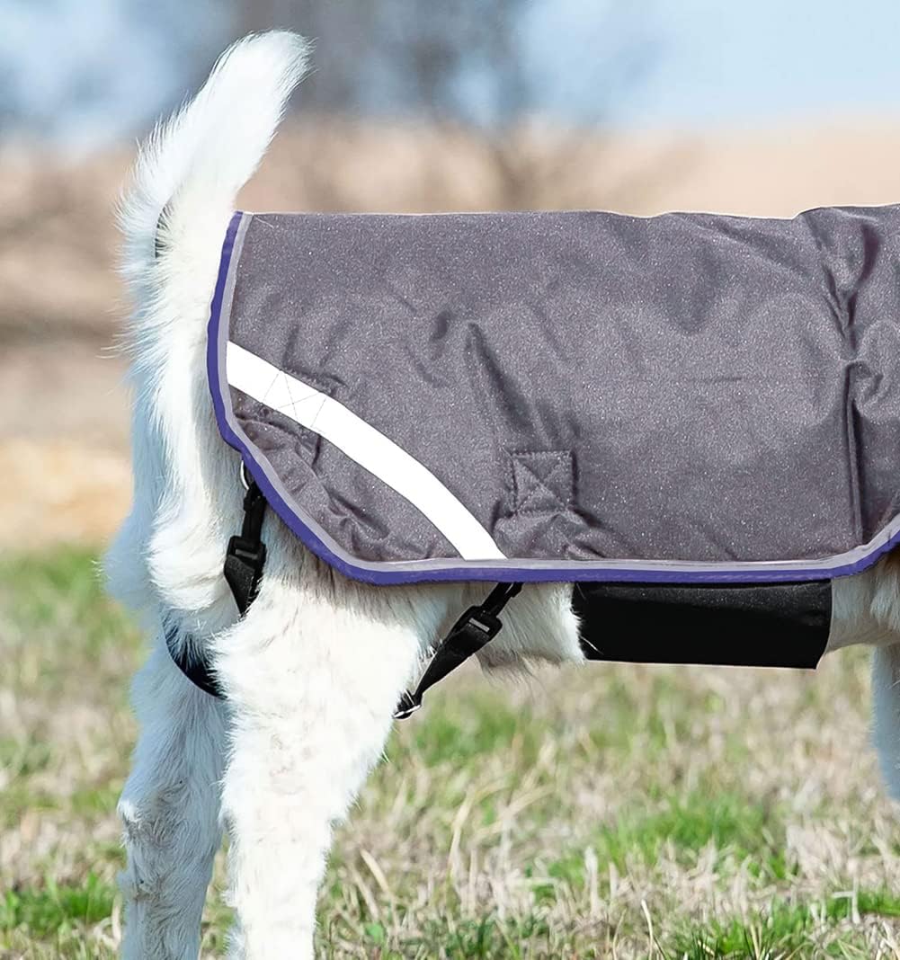 Horseware® Goat Rug - Excalibur/Silver & Strong Blue & Black, S