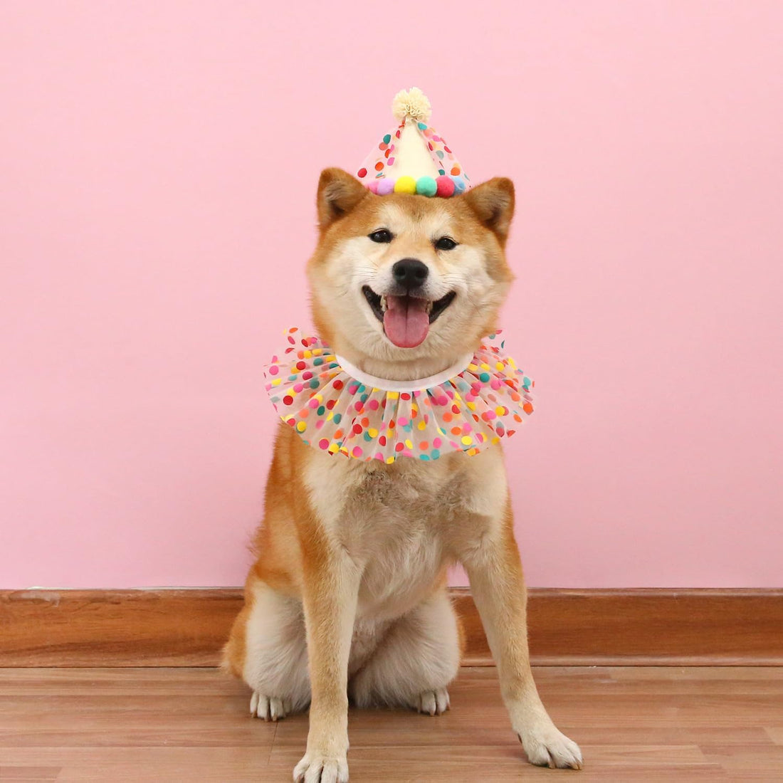 Cat Dog Princess Costumes Puppy Cat Birthday Bandana Scarf and Party