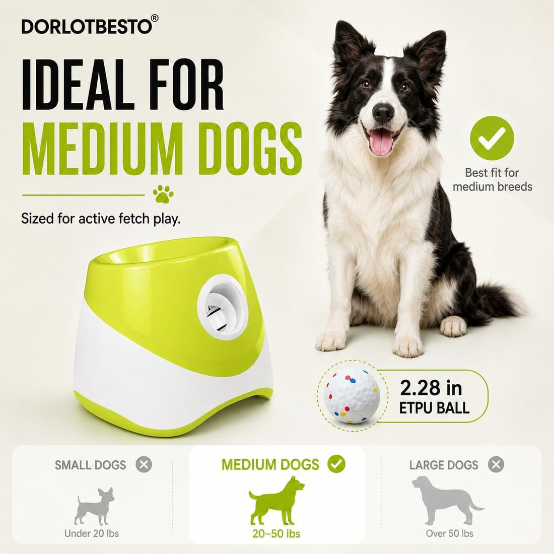 PT5 Automatic Dog Ball Launcher for Small Dogs