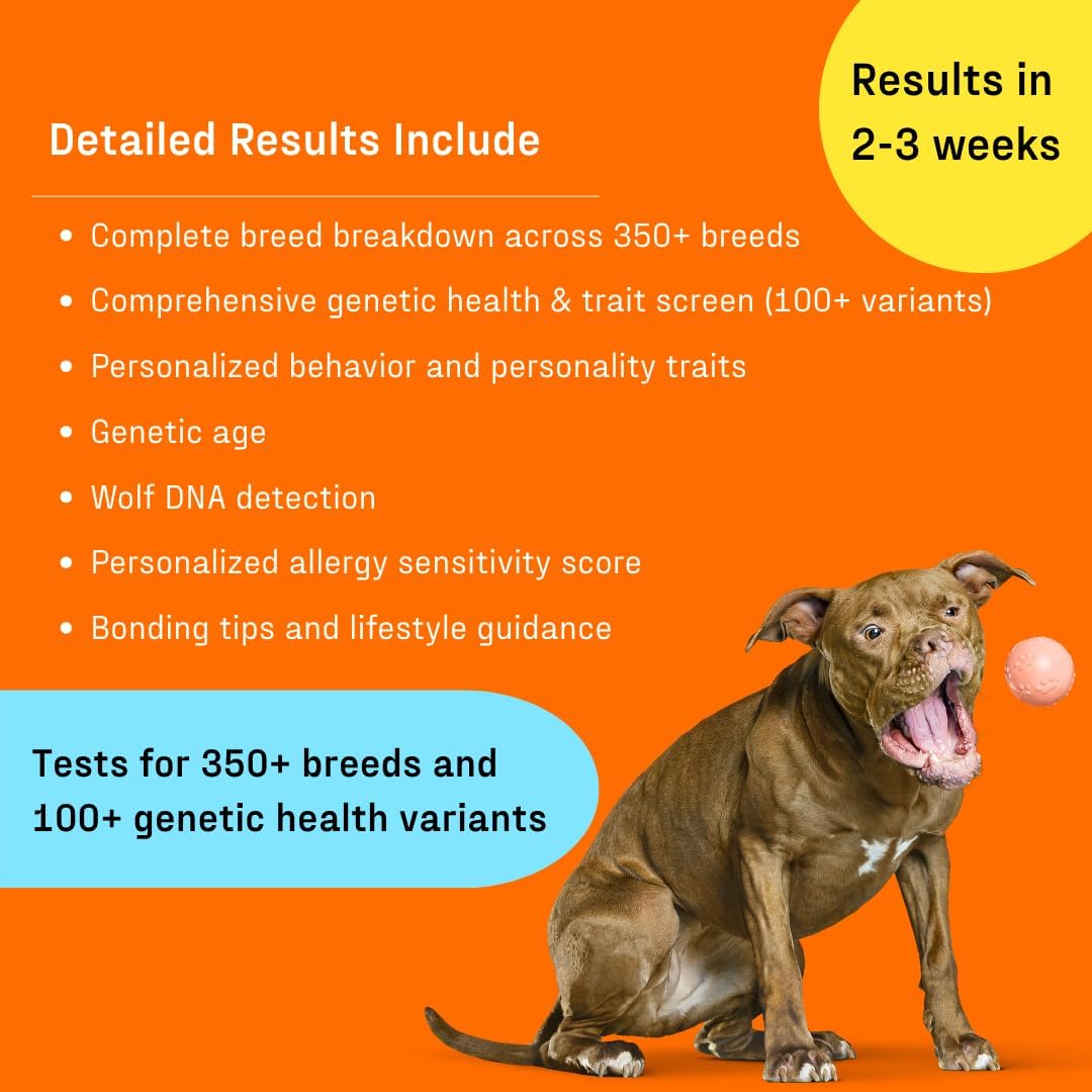 DNA My Dog Premium Dog DNA Test – Identify 350+ Breeds