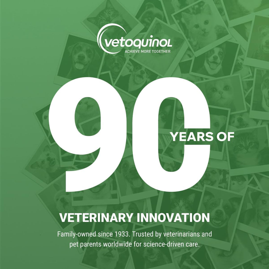 Vetoquinol Enisyl-F Oral Paste: L-Lysine Supplement for Cats