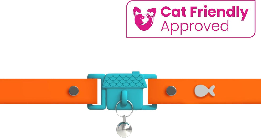 Kittyrama Tangerine Cat Collar with Bell. Breakaway Collar. Won't Rub