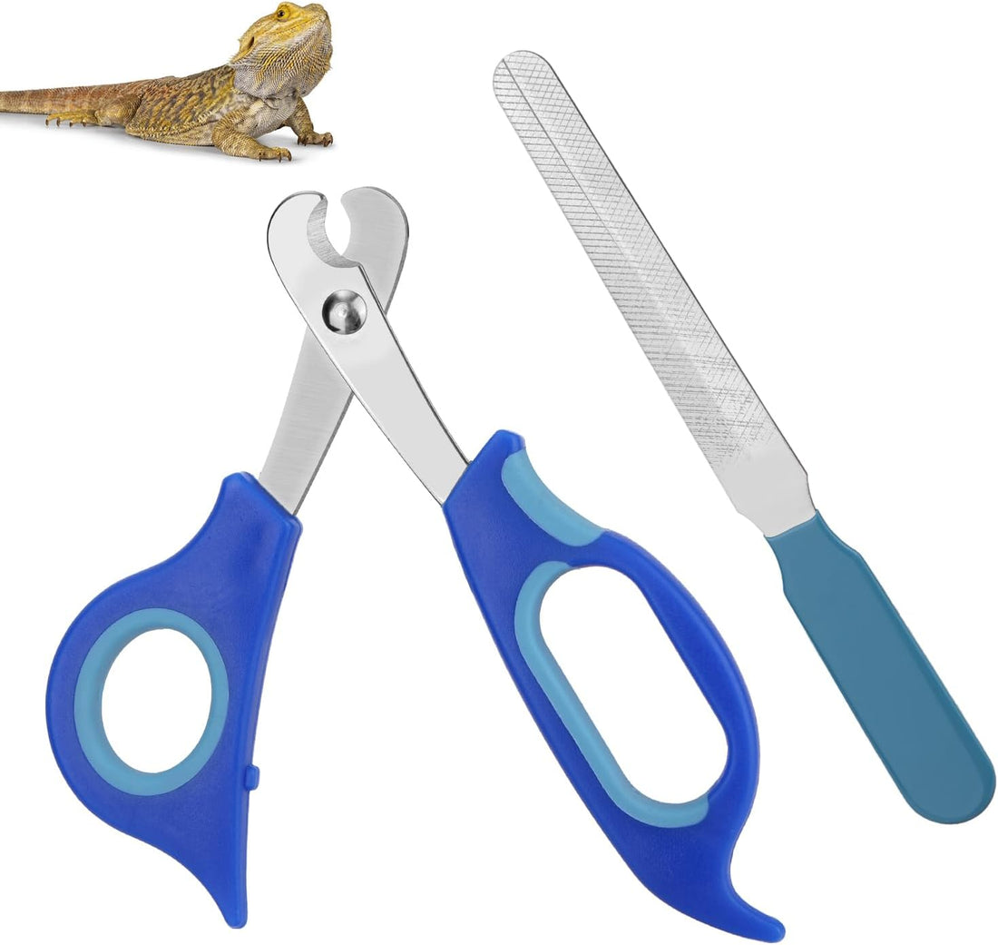 Bearded Dragon Nail Clippers and File