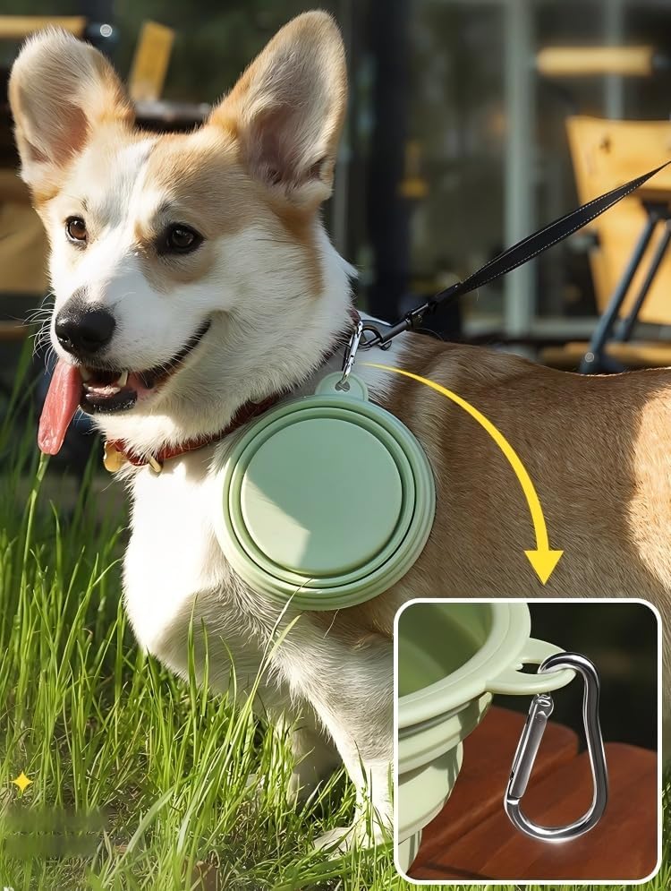 2-Pack Collapsible Dog Bowls