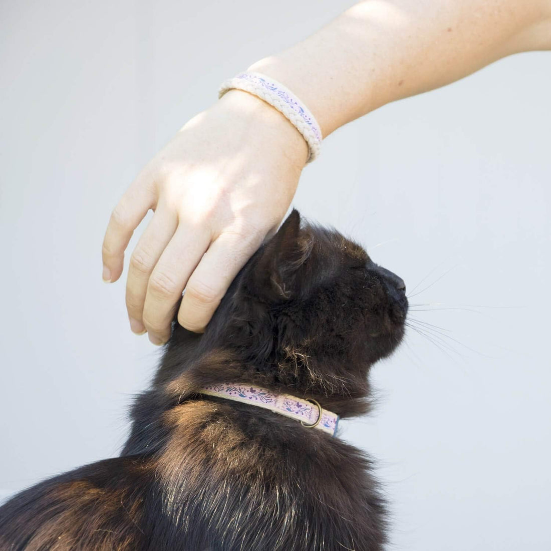 Pettsie Breakaway Cat Collar & Matching Friendship Bracelet