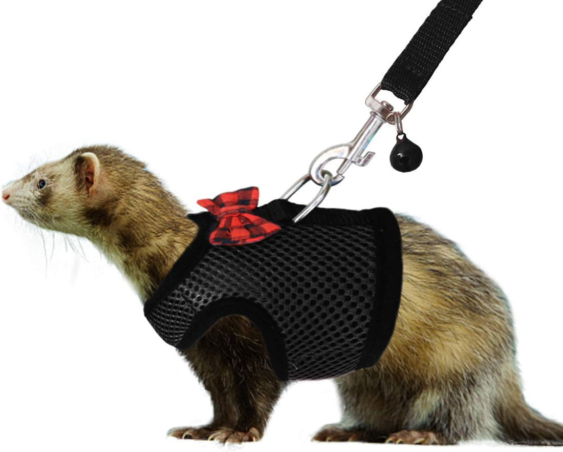 2pcs Animal Harness and Leash