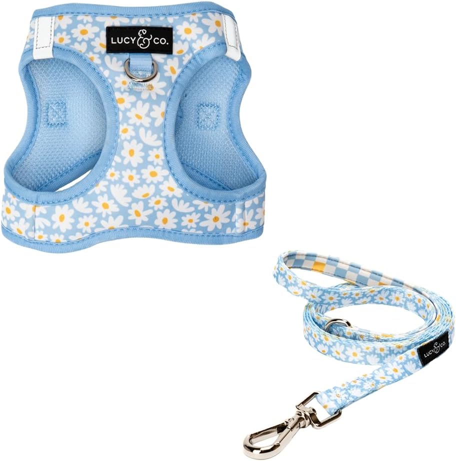 Lucy & Co. Simply Splendid Step-in Cat Harness & Leash Bundle