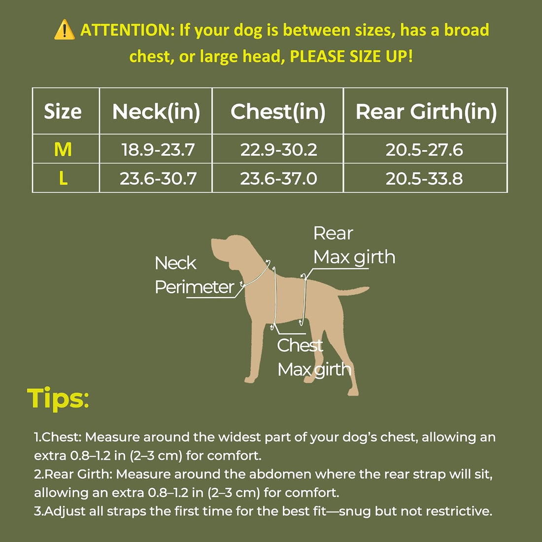2-in-1 Detachable Dog Backpack Harness for Day Hiking (Medium)