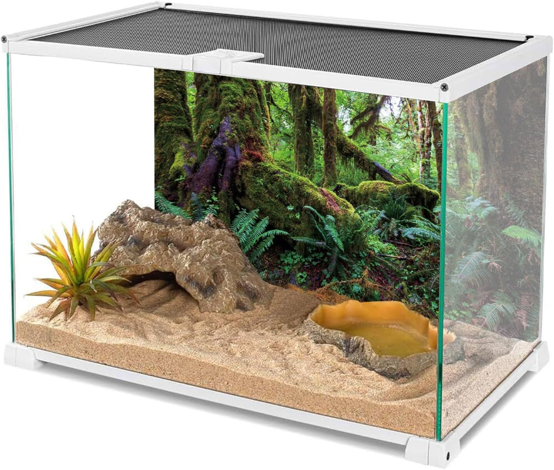 36x18 in Terrarium Backdrop Rainforest Moss Tree Reptile Habitat