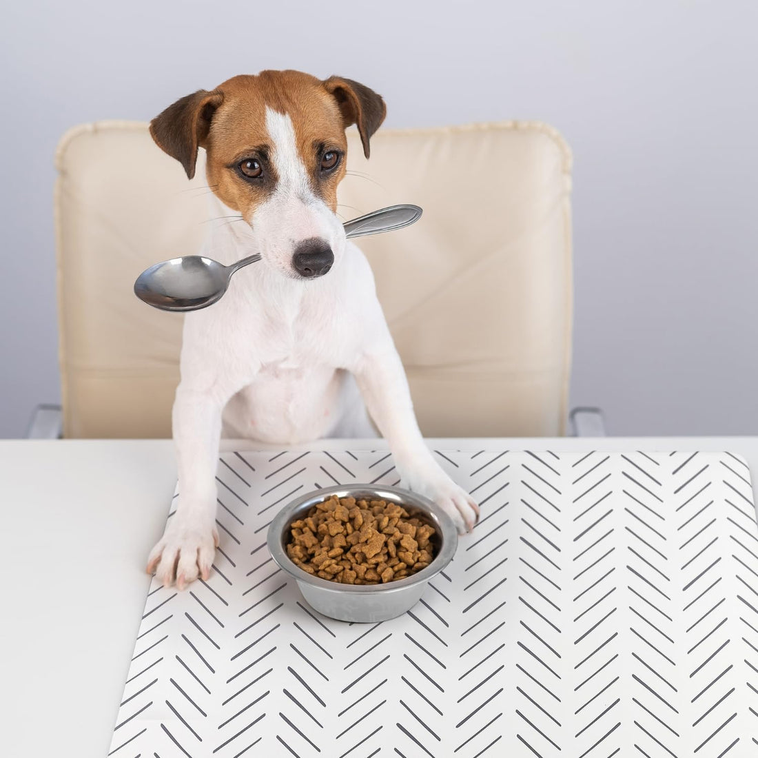 NALALAS Dog Mat for Food and Water, Cat Feeding Mat