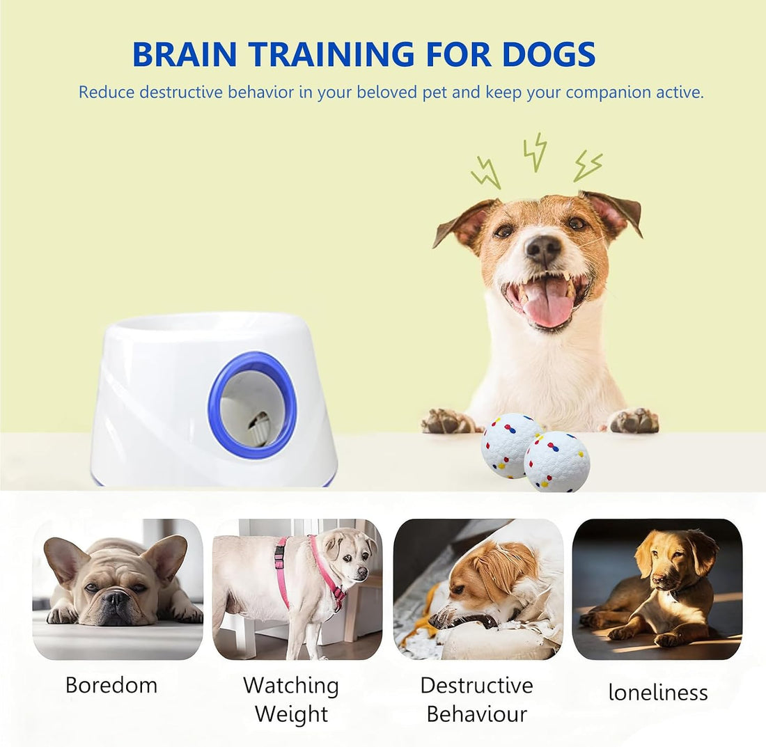 Automatic Dog Ball Launcher, Dog Ball Throw Launcher