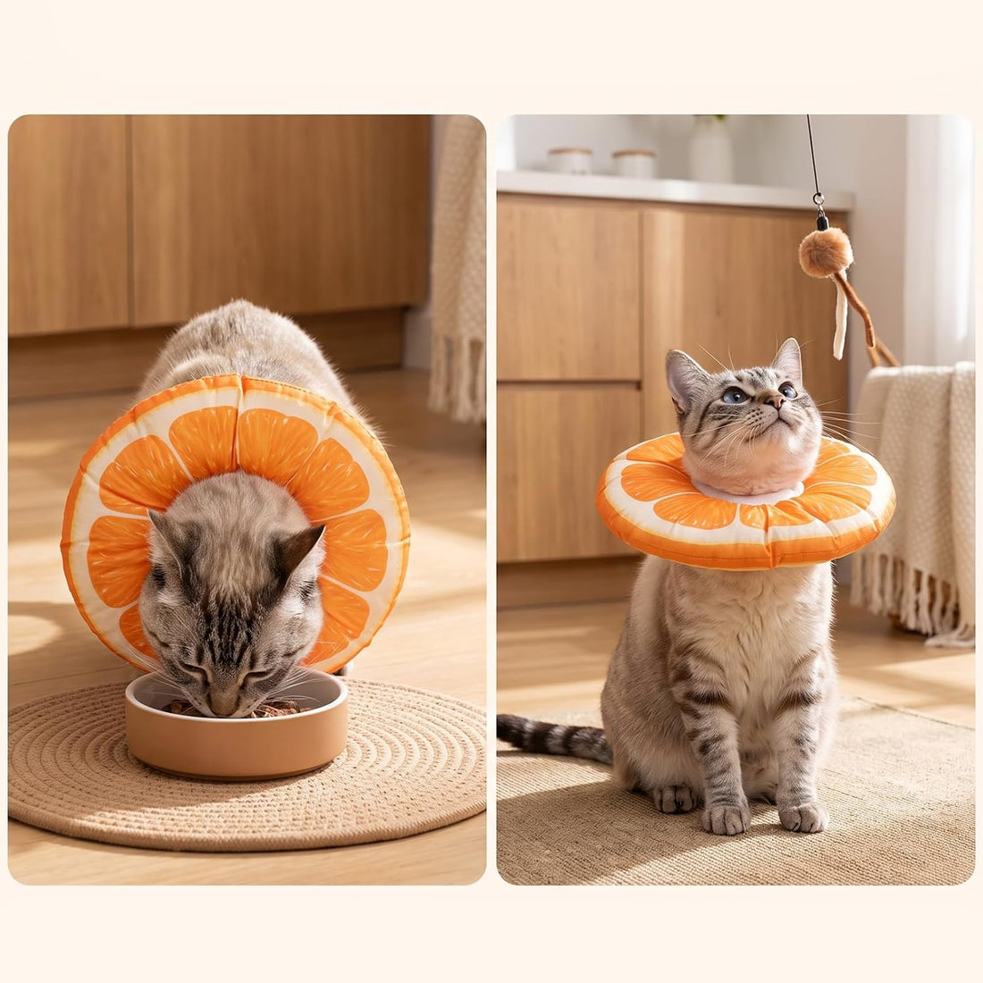 Cat Donut Collar, M Size Adjustable Cat Cone Collar for Kittens