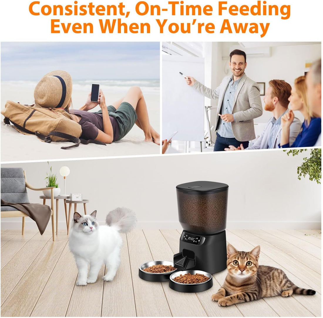 Automatic Cat Feeders for Two Cats