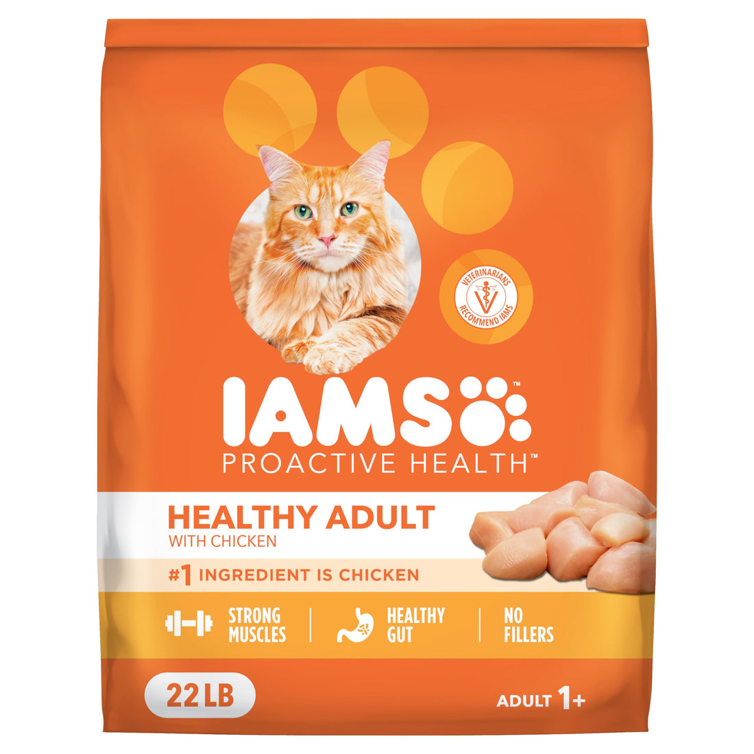 IAMS Proactive Health Dry Cat Food