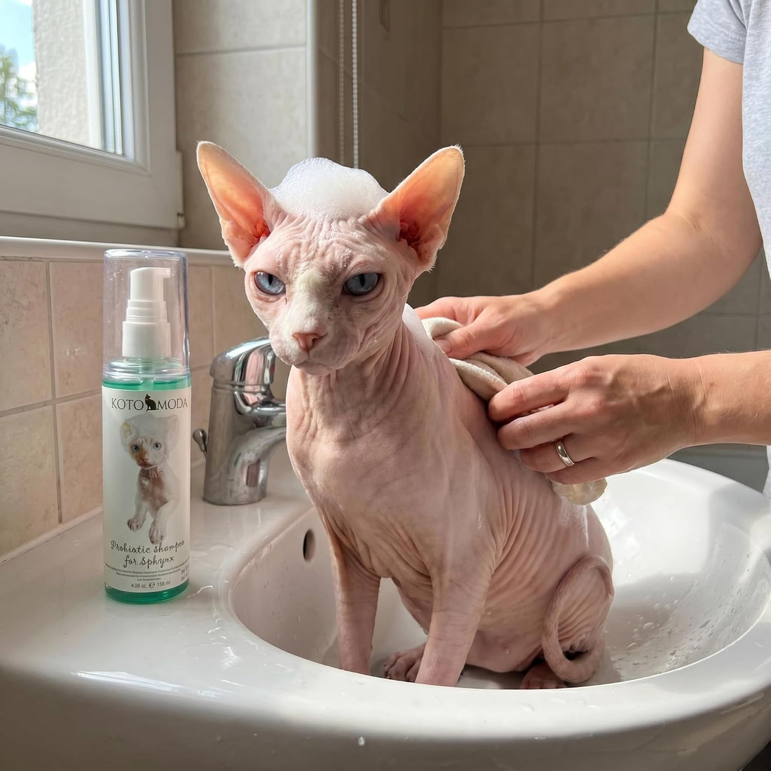Kotomoda Probiotic Shampoo for Sphynx Cats